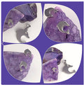 Set Earrings & Pendant Dolphin